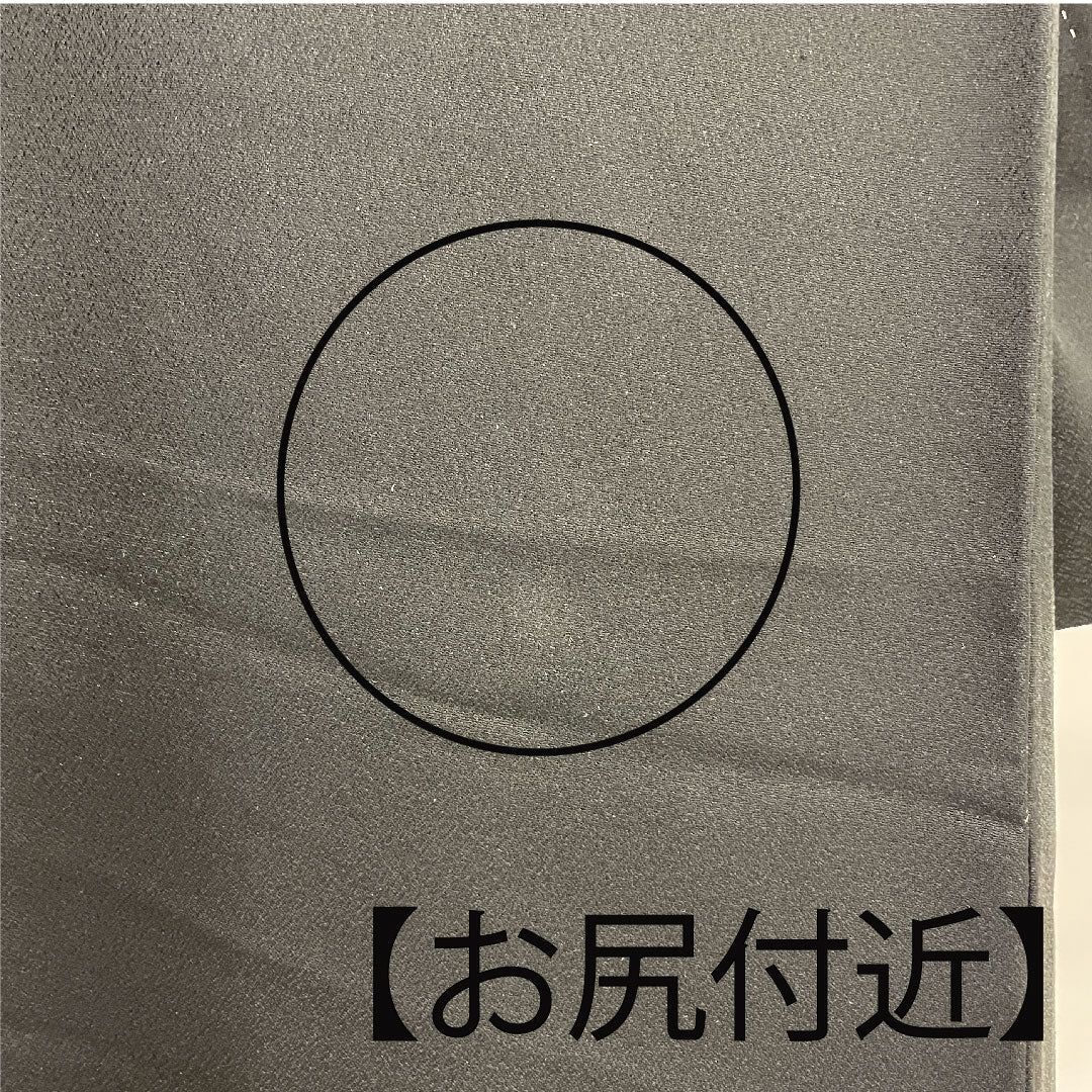 黒留袖 身丈170.5cm 裄丈67cm 袷 寿光織 風景模様 並び切り竹 正絹 Aランク 五つ紋 黒系 1111000303610