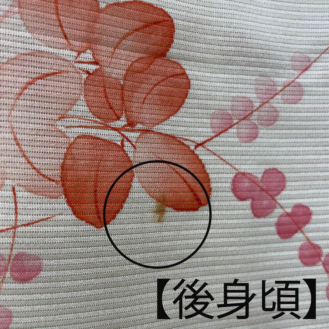 夏物 正絹 小紋 身丈157.5cm 裄丈64.5cm 白百合色(しらゆりいろ)萩 絽 Bランク クリーム系 1132000044315