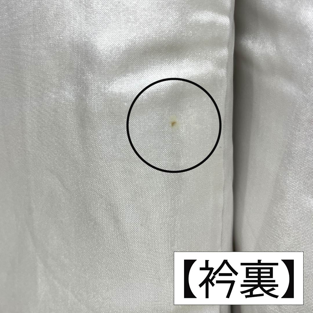 小紋 正絹 Sランク 身丈153.5cm 裄丈63.5cm 袷 緋褪色(ひさめいろ) 更紗 朱系 1115007532216