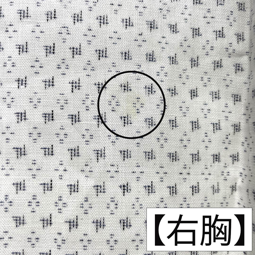 夏物 麻 男物 Bランク 身丈141cm 裄丈68cm 能登上布 絣柄 紗 白系 1132006454411