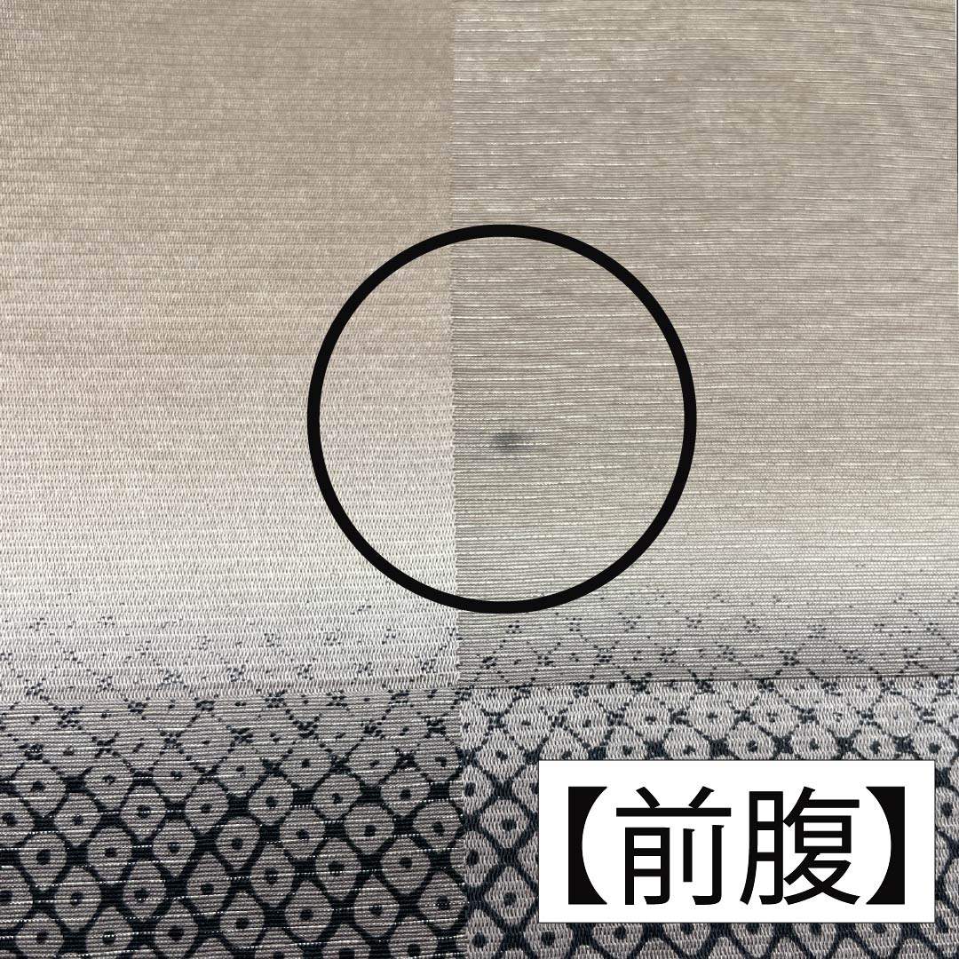 袋帯 正絹 染め帯 鹿の子模様 帯丈454cm Aランク 全通 セミフォーマル グラデーション系 1123014933499