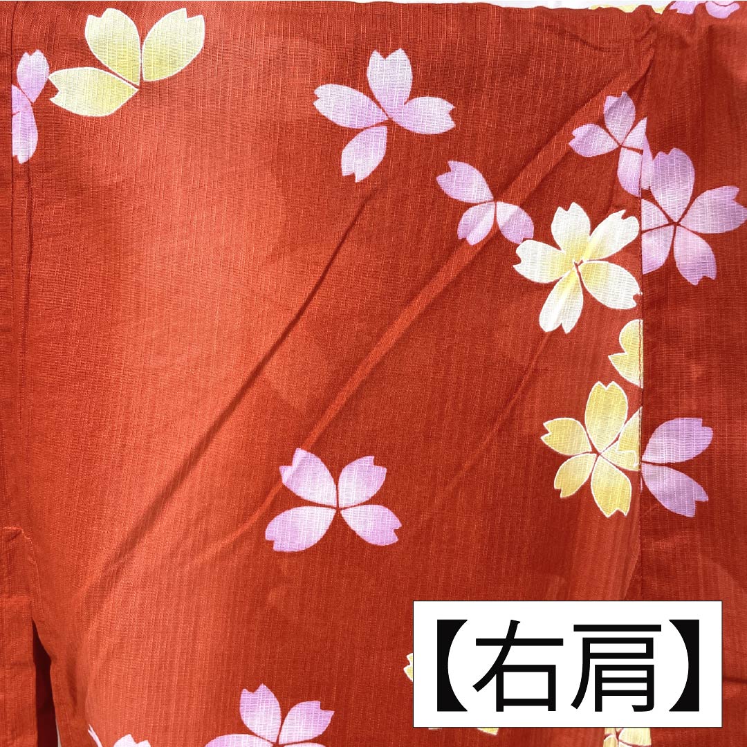 浴衣 木綿 身丈162cm 裄丈67.5cm Sランク 単衣 朱系 辰砂色(しんしゃいろ) 桜 1118006512416