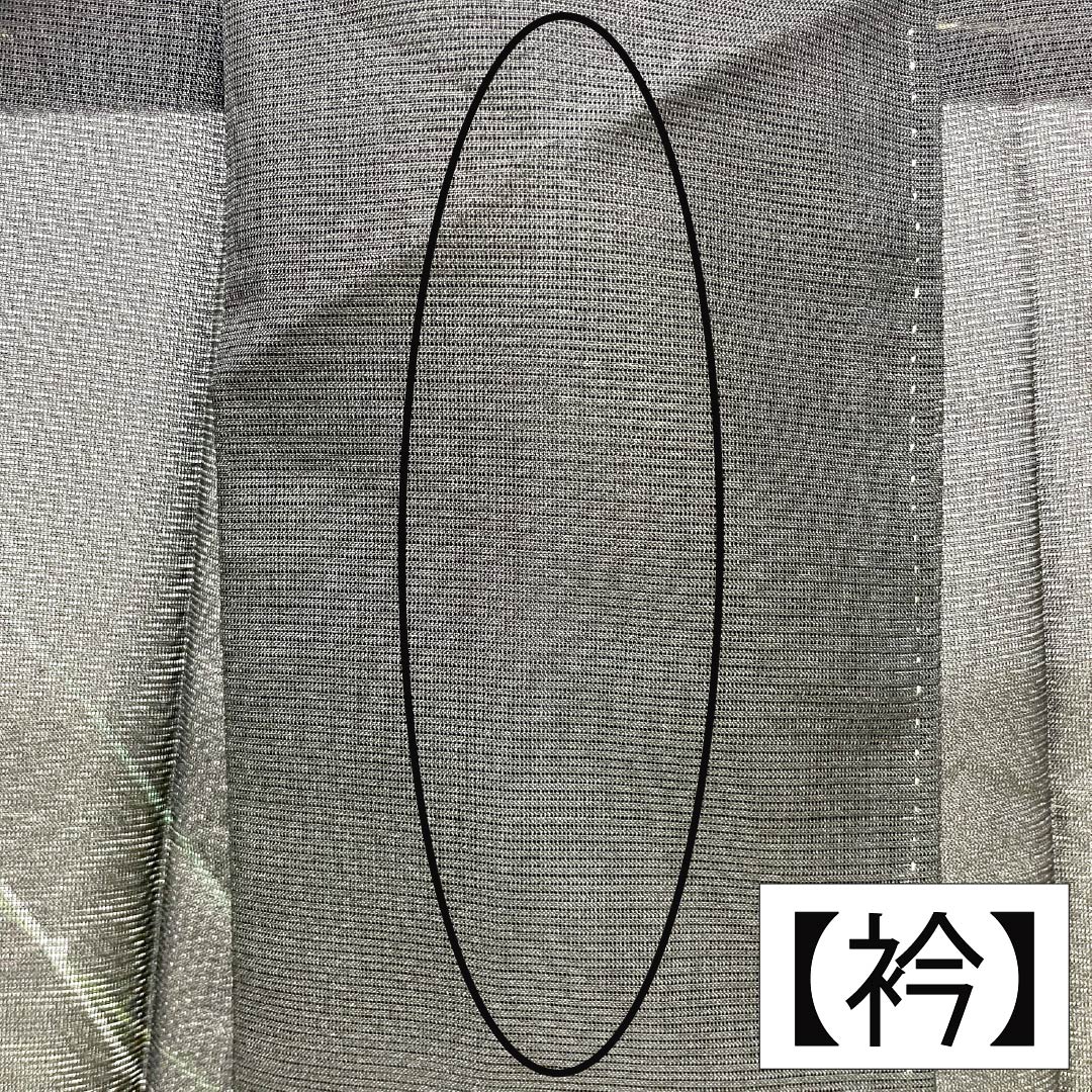 夏物 ポリエステル 付下げ Aランク 身丈154.5cm 裄丈64cm 枝模様 洗える着物 絽 黒系 1132005233210