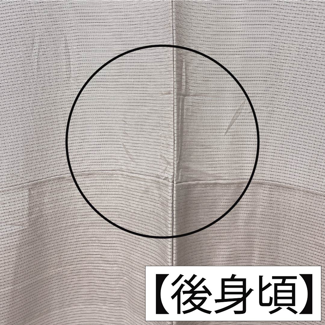 夏物 正絹 訪問着 身丈165cm 裄丈66cm 薄梅鼠色(うすうめねずいろ) 京友禅 金彩 雪輪 絽 Aランク グレー系 1132002033522