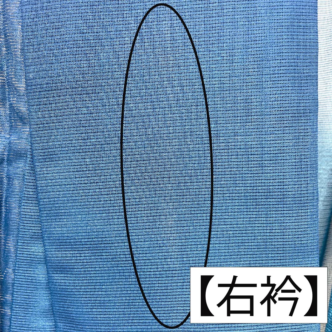 夏物 ポリエステル 付下げ Aランク 身丈163.5cm 裄丈63cm 深縹色(ふかきはなだいろ) 古典柄 洗える着物 絽 青系 1132005263417