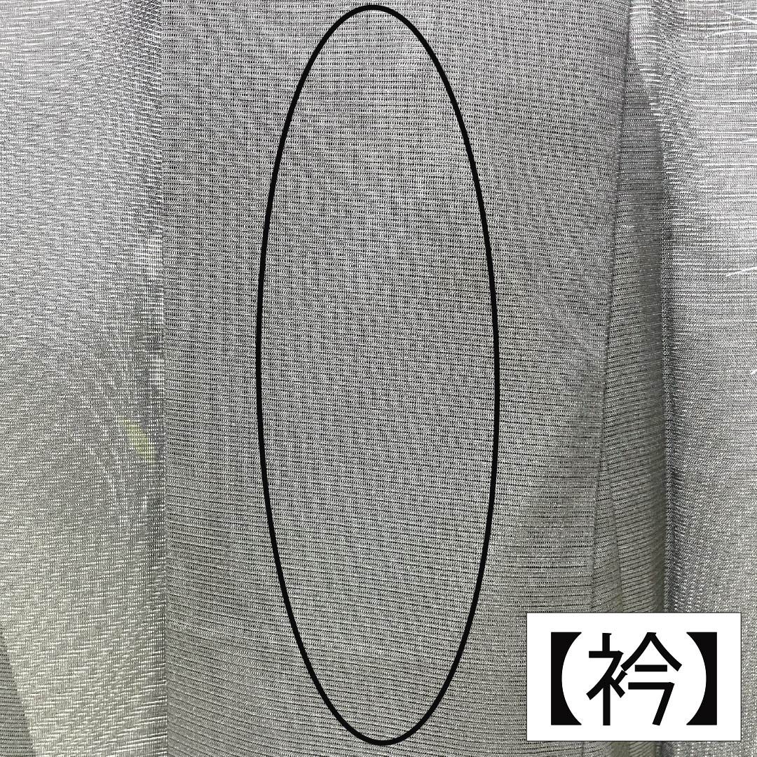 夏物 ポリエステル 付下げ Aランク 身丈153.5cm 裄丈64.5cm 草花模様 洗える着物 絽 黒系 1132005243210
