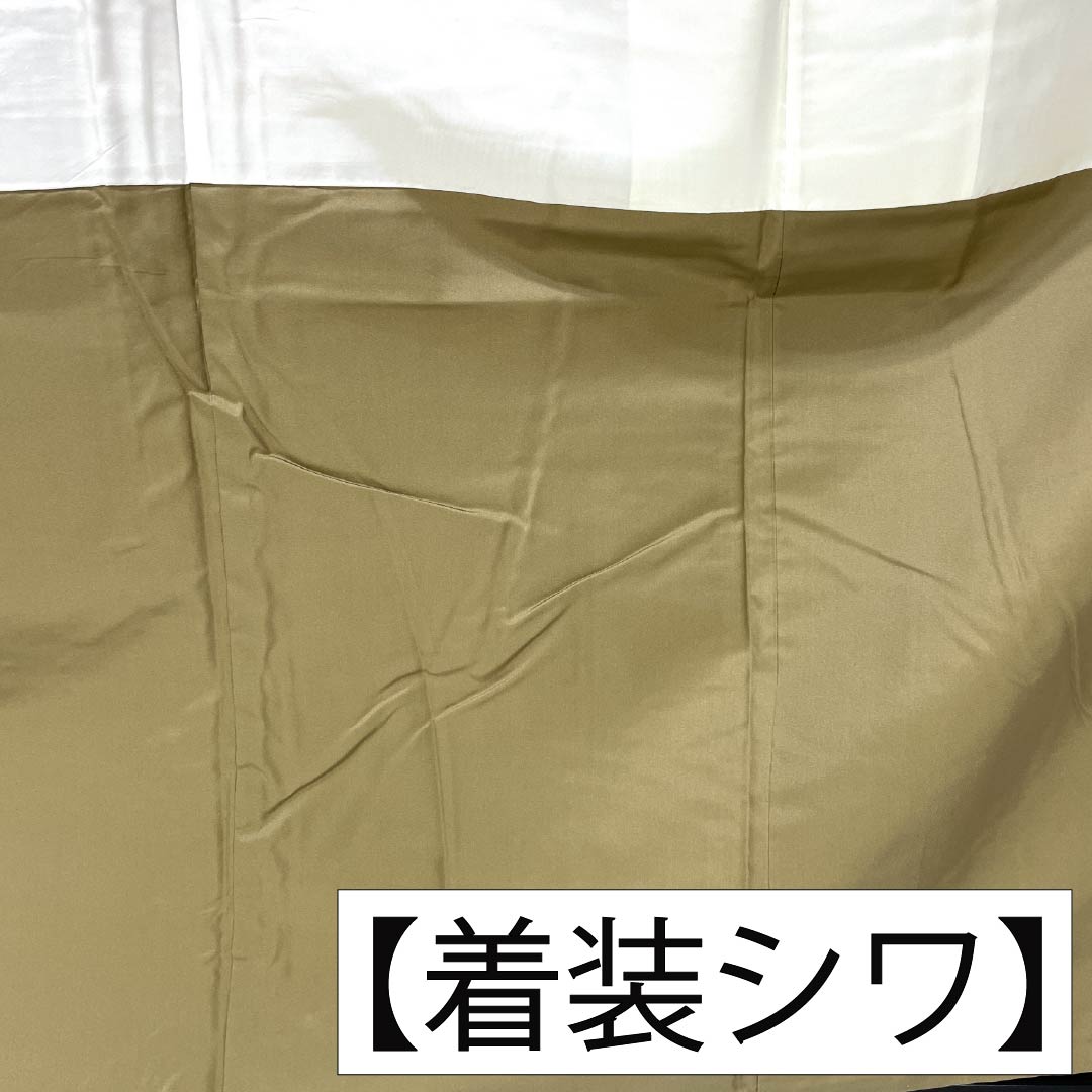 紬 正絹 Sランク 身丈162cm 裄丈65cm 白橡色(しろつるばみいろ) 米沢 ぜんまい紬 はればれ加工 袷 ベージュ系 1116004442425