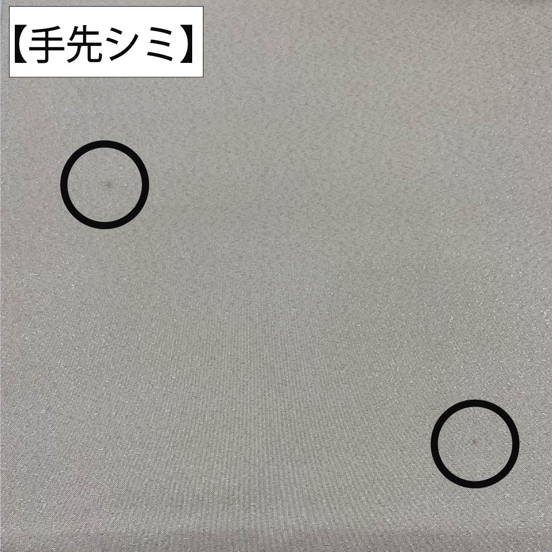 袋帯 正絹 Aランク 生成り色(きなりいろ) 蘇州刺繡 綴れ地 風景模様 銀糸 帯丈468cm ポイント柄 セミフォーマル 白系 1123017533411
