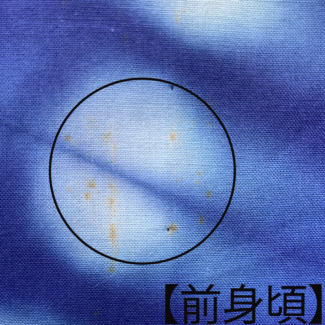 浴衣 青紫色 草花模様 木綿 Aランク 単衣 身丈164cm 裄丈70cm 紫系 1118001723420