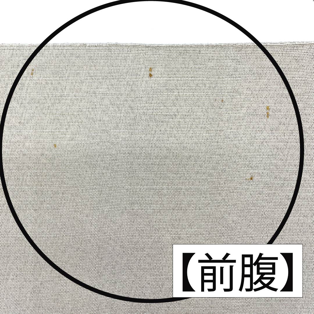 袋帯 正絹 胡粉色(ごふんいろ) 綴れ織 相良刺繍 扇面 牡丹 帯丈448cm Aランク ポイント柄 フォーマル 白系 1123012653311