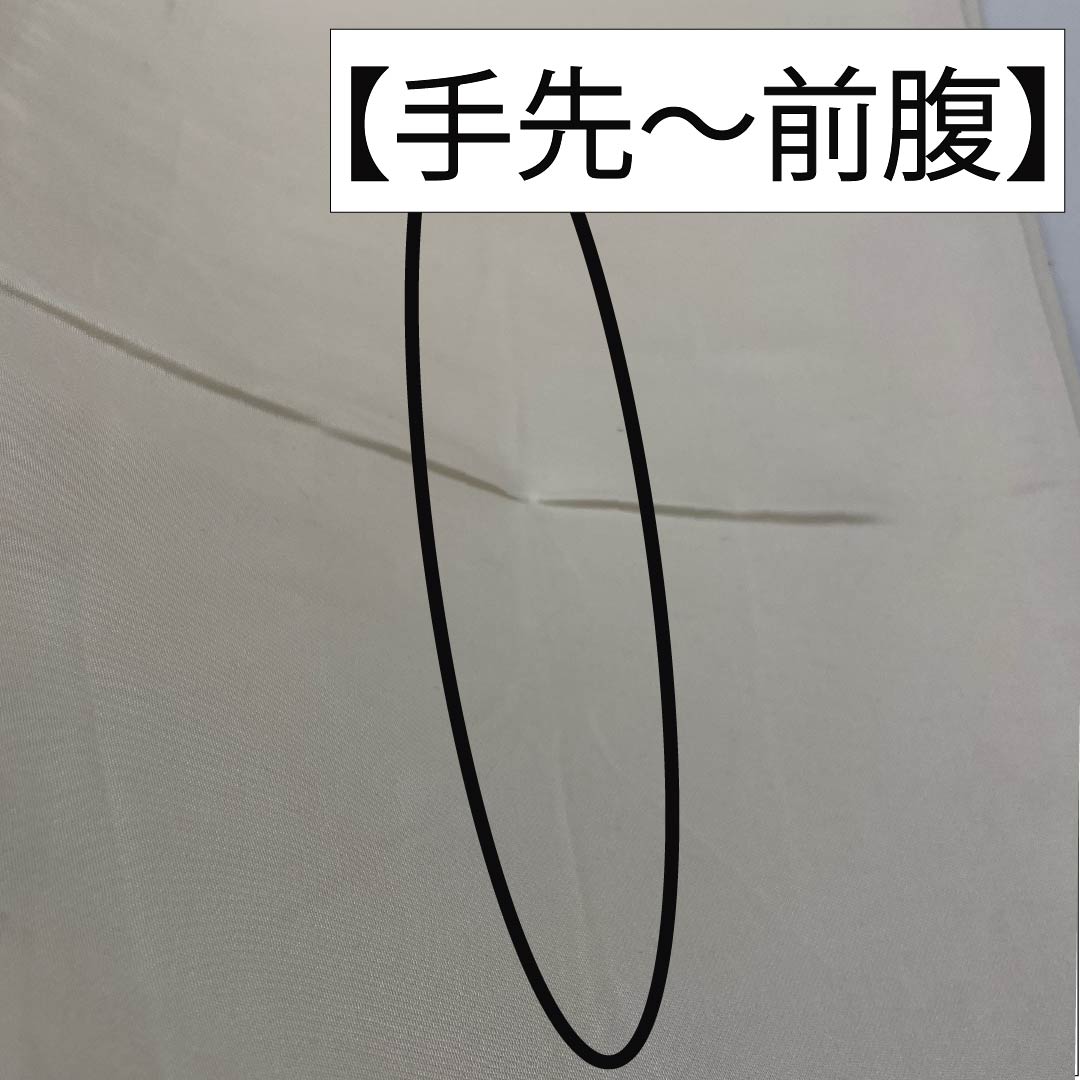 Silk Fukuro Obi for Tomesode, Hikigaku, Koto Miyabi, Landscape Pattern, Crane, Length 432cm, A Rank, Six-way, Formal, Gradient, 1123013943399