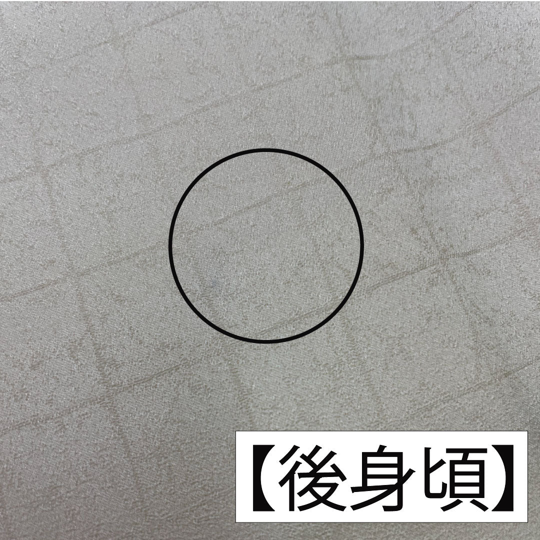 Homongi, pure silk, lined, length 158cm, sleeve length 62.5cm, Neriiro, Kyoto Yuzen, floral pattern, A rank, cream color, 1112004253315