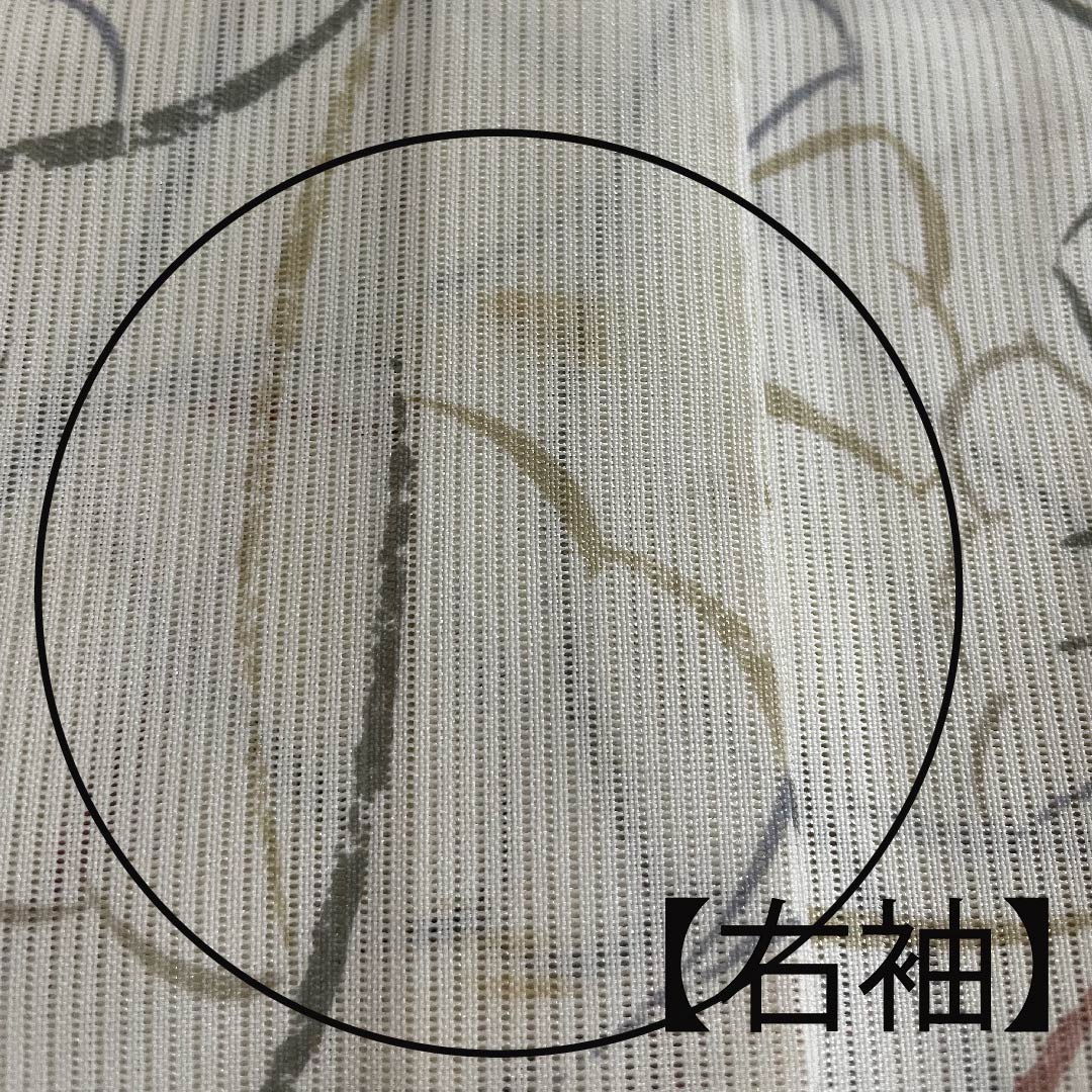 夏物 ポリエステル 小紋 身丈163.5cm 裄丈63.5cm 胡粉色(ごふんいろ) いちょうの葉 絽 Bランク 白系 1132000334411