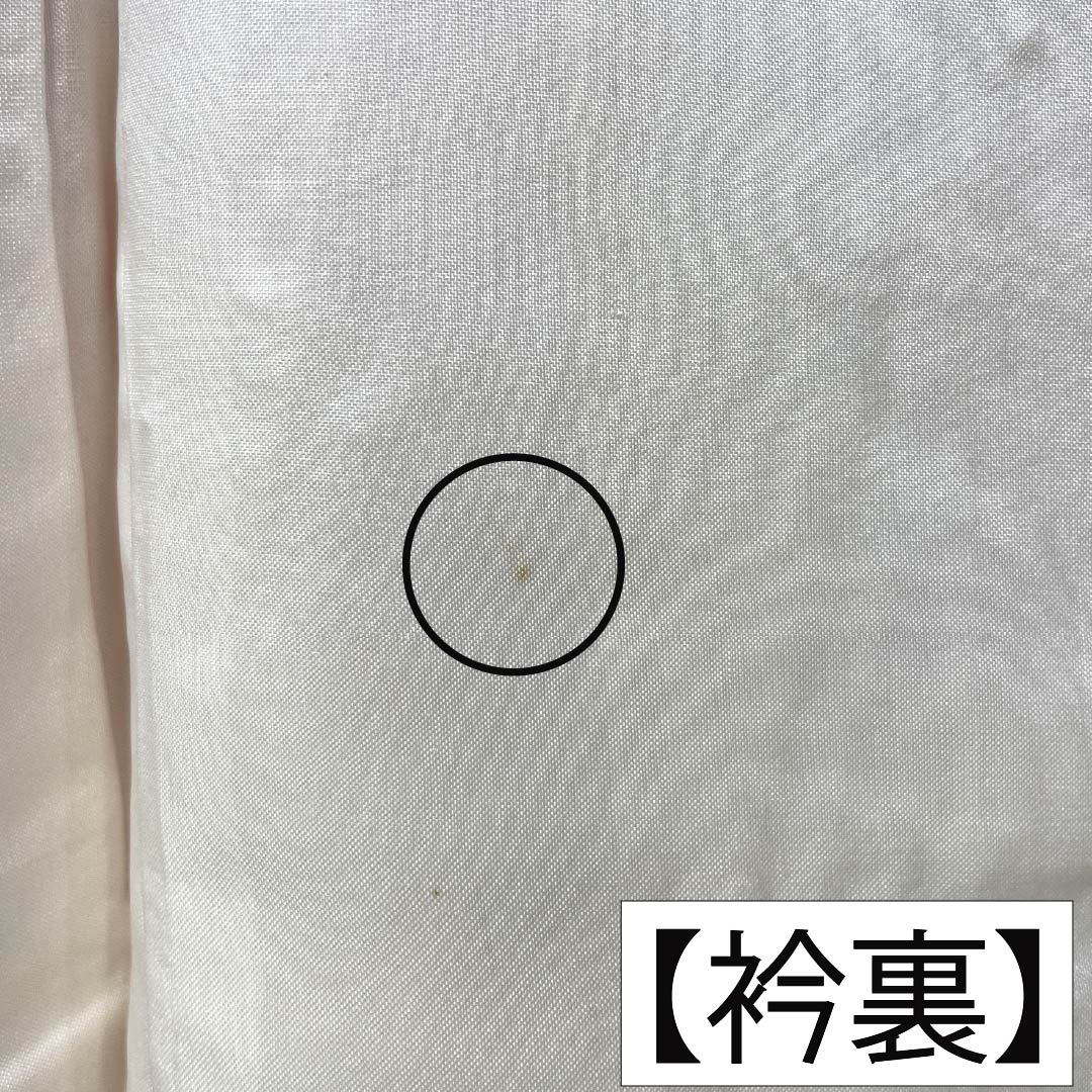 色無地 正絹 Bランク 身丈158.5cm 裄丈63cm 薄肉色(うすにくいろ) 雪輪露芝 一つ紋 違い鷹の羽 袷 橙系 1114002944326