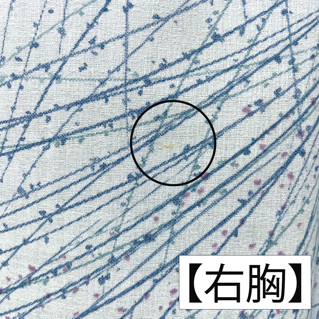 夏物 木綿 小紋 Bランク 身丈156cm 裄丈62cm 蟹鳥染色(かにとりぞめいろ) 抽象模様 紗 水色系 1132004404324