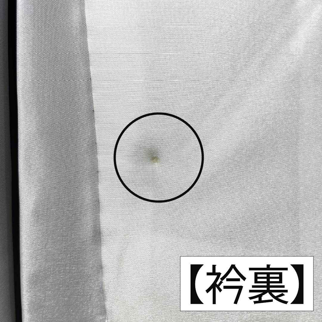 紬 正絹 Sランク 身丈165cm 裄丈68cm 大島紬 9マルキ 草花模様 しつけ糸付き 袷 黒系 1116004992510