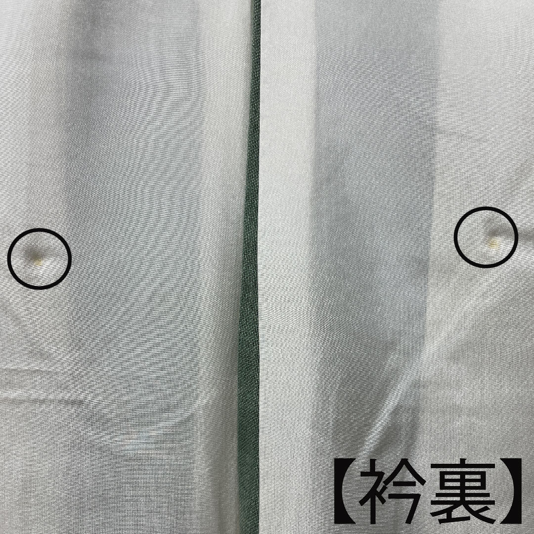 夏物 正絹 色無地 身丈156cm 裄丈63cm 灰緑色(はいみどりいろ) 紬地 紗 Sランク 緑系 1132000562319