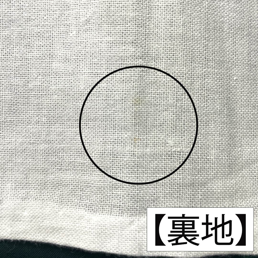 浴衣 木綿 身丈144cm 裄丈65cm Sランク 単衣 緑系 深緑色(ふかきみどりいろ) 蝶 1118005332119