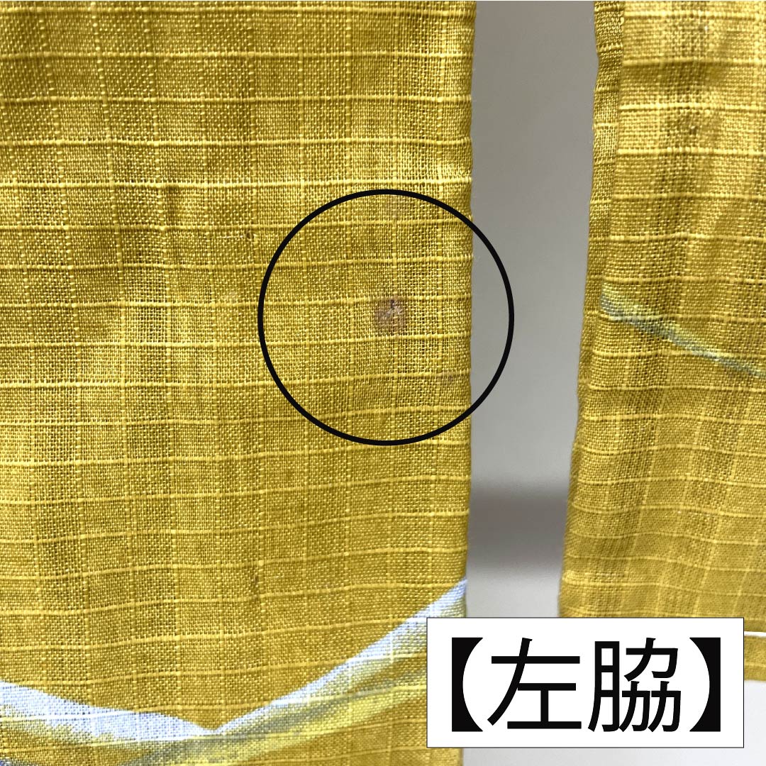 浴衣 木綿 身丈165cm 裄丈65cm Aランク 単衣 黄系 木蘭色(もくらんじき) 草花模様 ラビッサンルーチェ 1118006243523