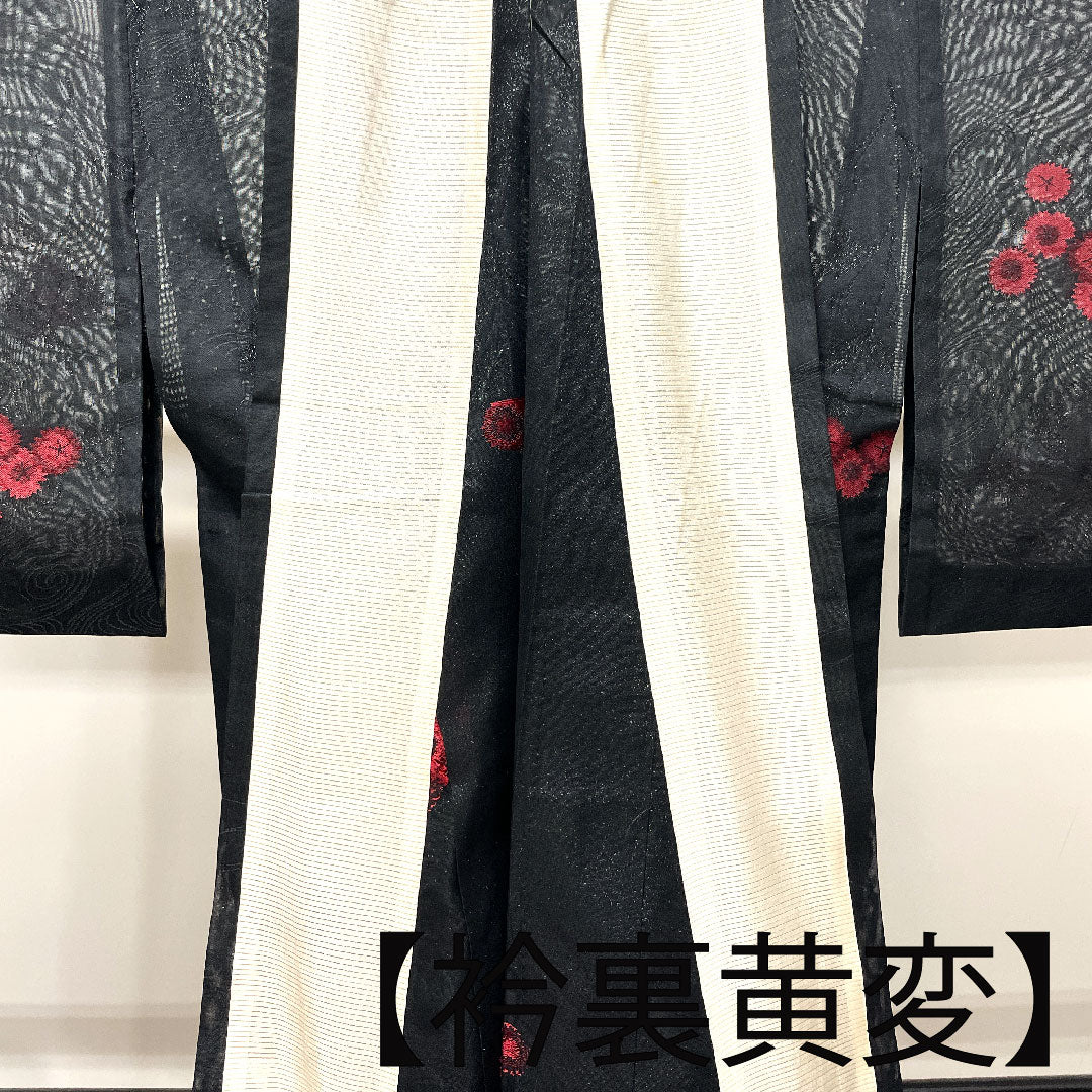 Summer kimono, polyester, small pattern, length 152.5cm, sleeve length 63cm, flowing water, chrysanthemum, washable kimono, gauze, A rank, black, 1132001243210