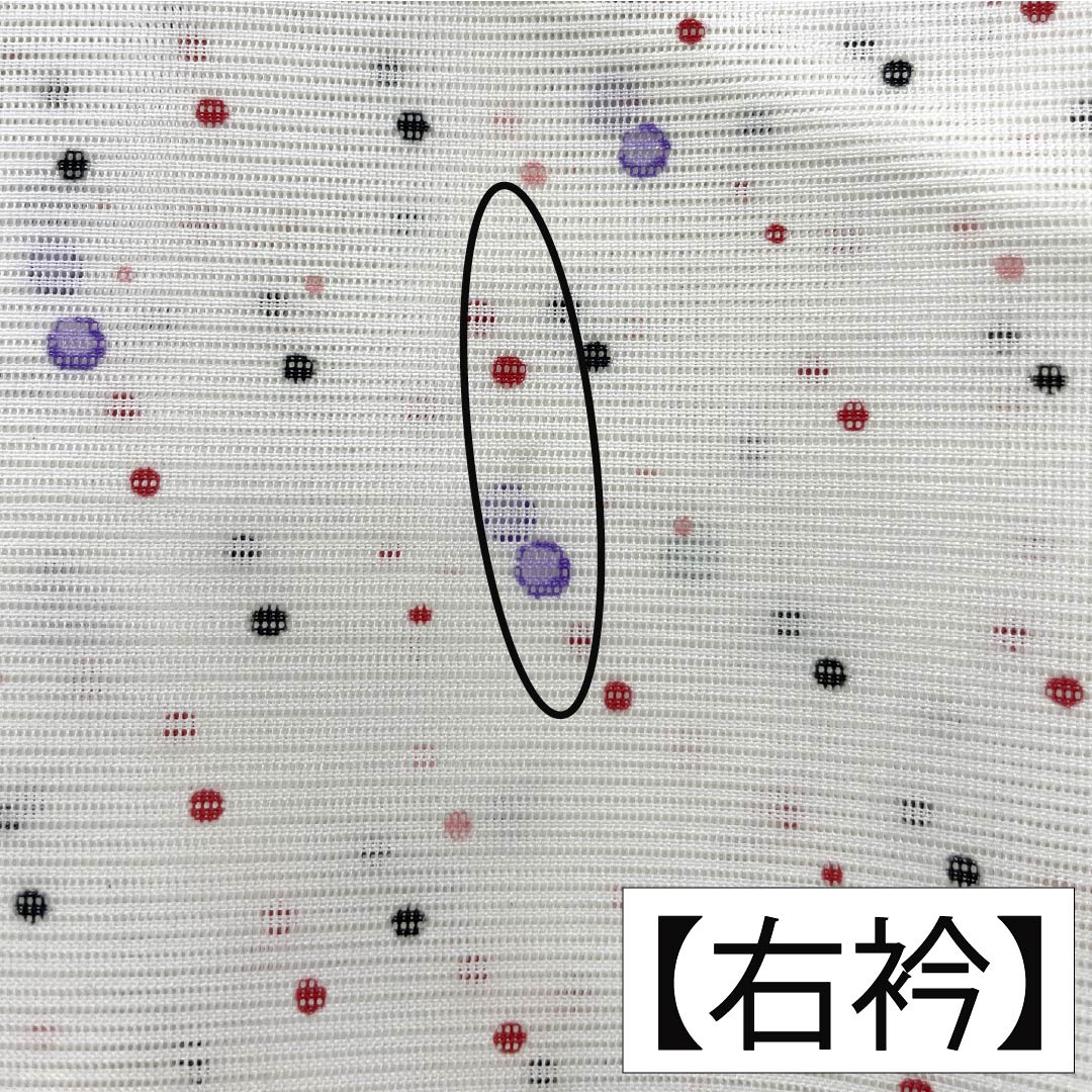 夏物 ポリエステル 小紋 身丈168cm 裄丈66cm ドット柄 洗える着物 絽 Aランク 白系 1132002263511