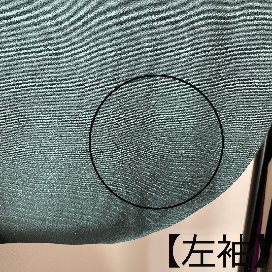 振袖 身丈165cm 裄丈70cm 袷 鉄色 京友禅 花模様 正絹 Aランク 緑系 1113001563519