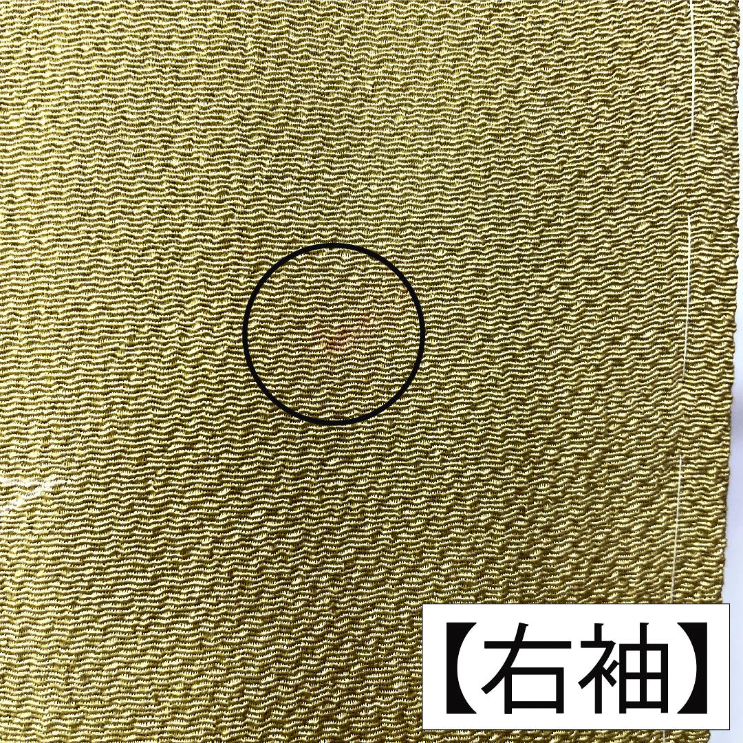 Homongi, pure silk, lined, length 155.5cm, sleeve length 67.5cm, Karakaneiro, Kyoto Yuzen, crepe, floral pattern, A rank, green, 1112005953319