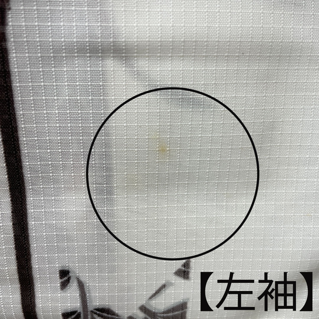 浴衣 桜 菖蒲 紅葉 木綿 Aランク 単衣 身丈161cm 裄丈66.5cm 白系 1118003203411