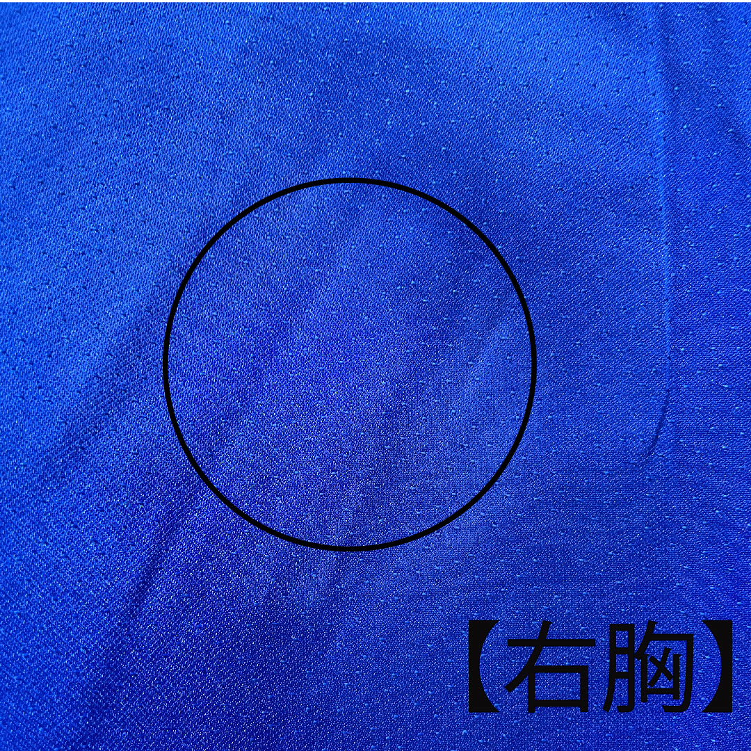 振袖 身丈176.5cm 裄丈64cm 袷 瑠璃色 花鳥模様 正絹 Bランク 紺系 1113001484818