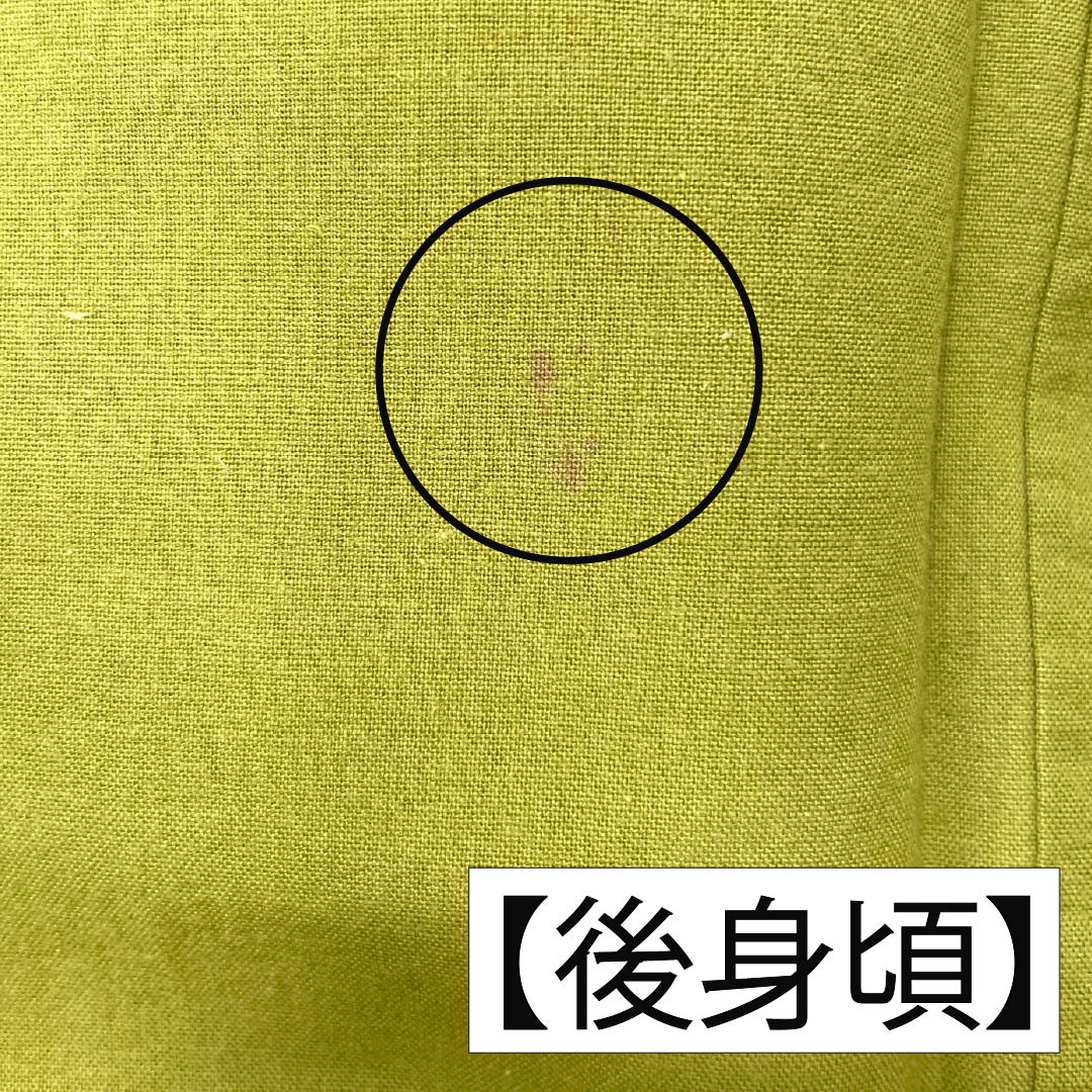 浴衣 木綿 身丈153cm 裄丈62.5cm Aランク 単衣 黄系 浅黄色(あさききいろ) ペンギン 1118005783223