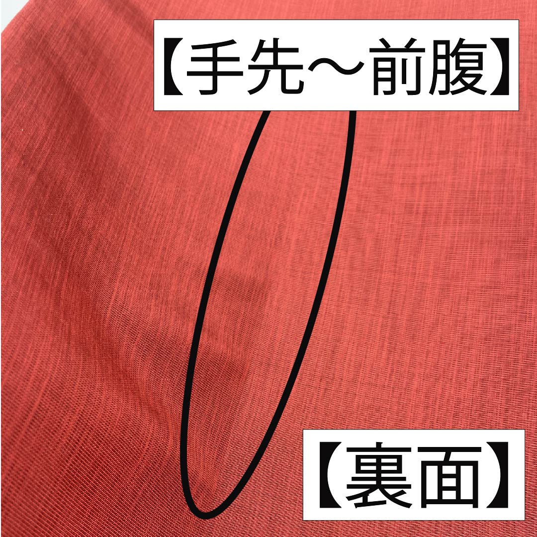 袋帯 正絹 生臙脂色(しょうえんじいろ) 紫烏色色(しうしょくいろ) 丸に七宝 丸に菊 帯丈436cm Sランク 六通 カジュアル 朱系 1123012502316