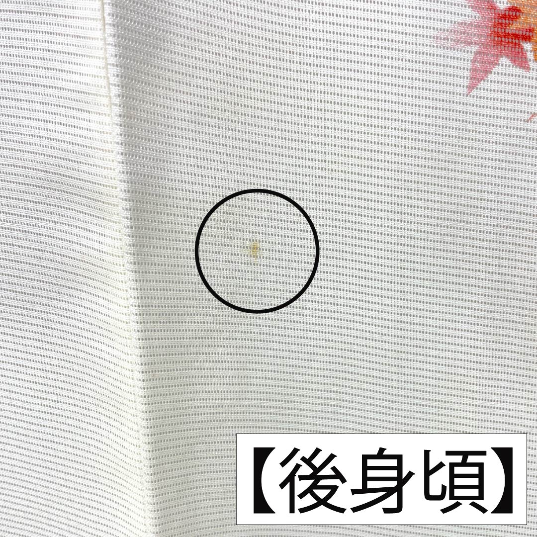 夏物 ポリエステル 小紋 Aランク 身丈154cm 裄丈62.5cm 乳白色(にゅうはくしょく) 紅葉 洗える着物 絽 クリーム系 1132005343215