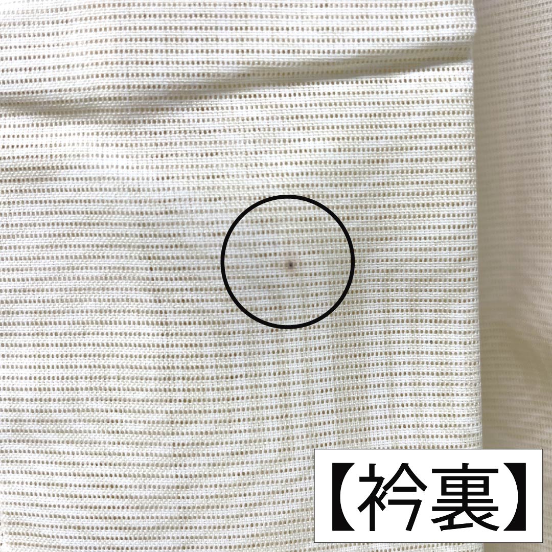 夏物 ポリエステル 小紋 Aランク 身丈158.5cm 裄丈66cm 乳白色(にゅうはくしょく) 蝶 亀甲 絽 クリーム系 1132004543315