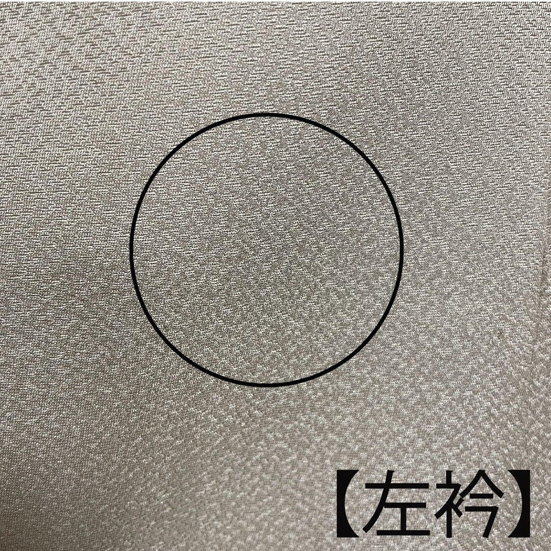 訪問着 袷 身丈159cm 裄丈64cm 柴染色 草花模様 正絹 Sランク 茶系 1112001582314