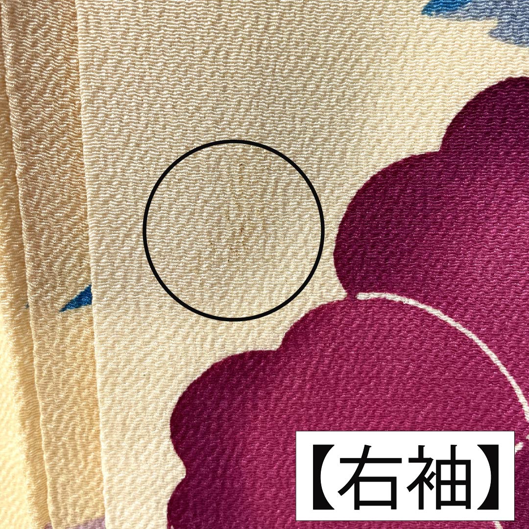 振袖 正絹 Aランク 身丈161cm 裄丈62.5cm 袷 薄柑子色(うすこうじいろ) 京紅型 牡丹 藤 ちりめん地 橙系 1113002403426