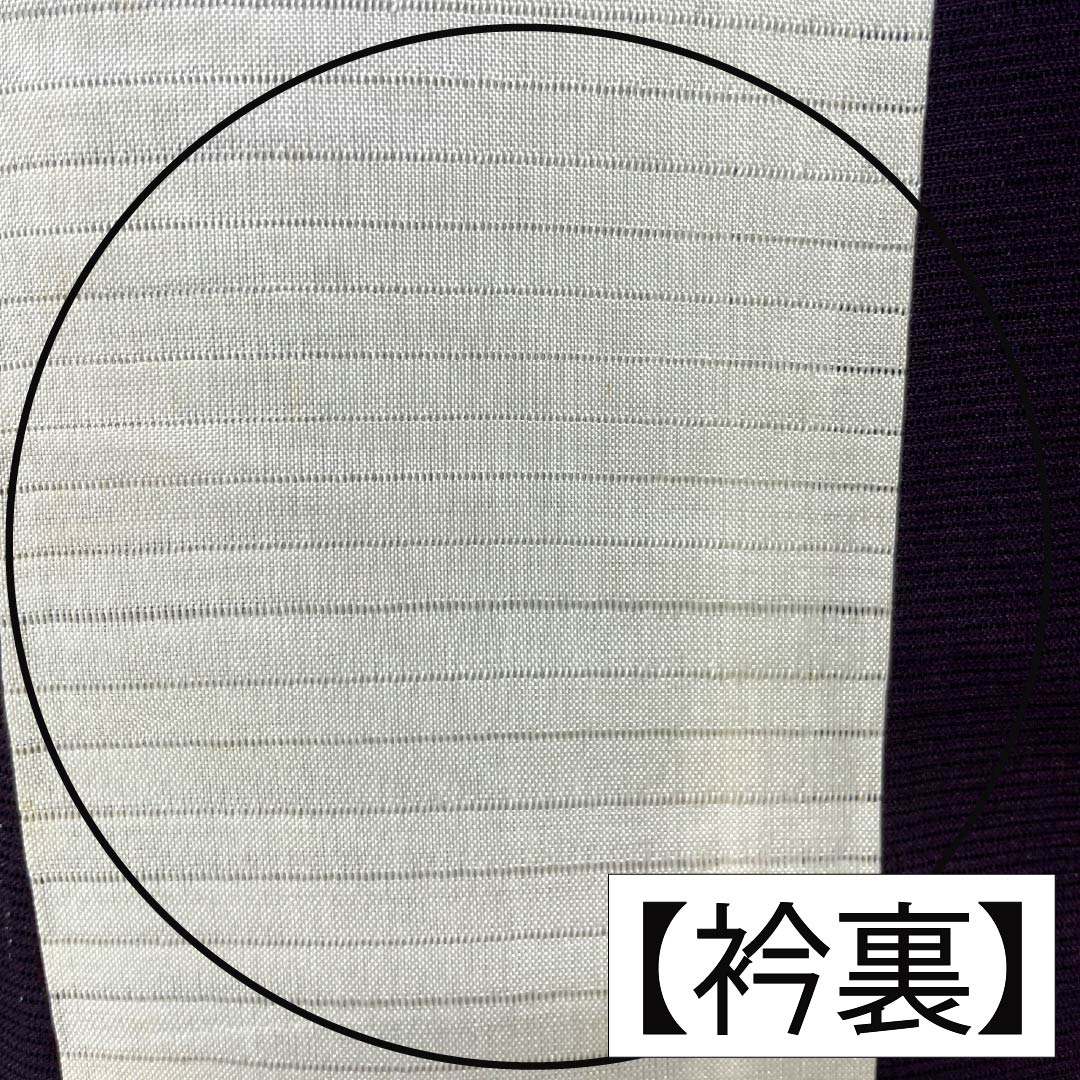 夏物 正絹 色無地 Aランク 身丈160.5cm 裄丈62.5cm 紫烏色(しうしょく) 木の葉 絽 紫系 1132004753420
