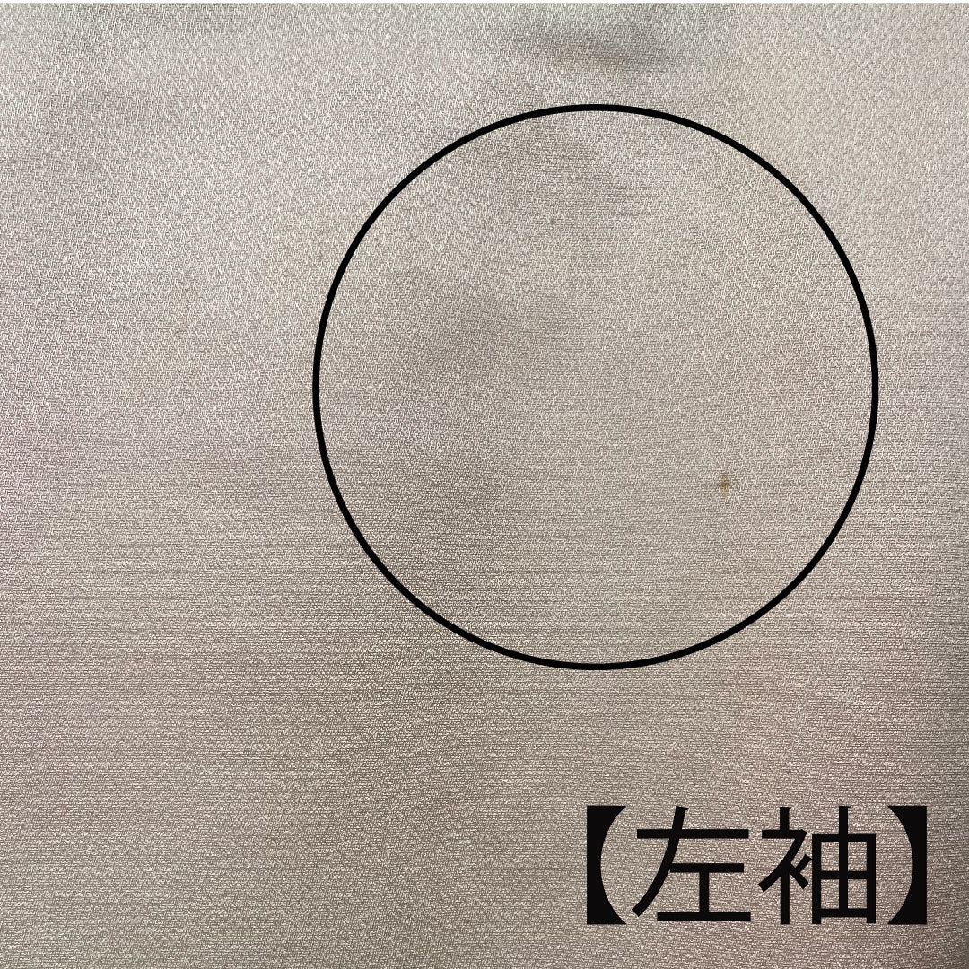 訪問着 袷 身丈150cm 裄丈61cm 練色 京友禅 橘 正絹 Bランク ピンク系 1112001634113