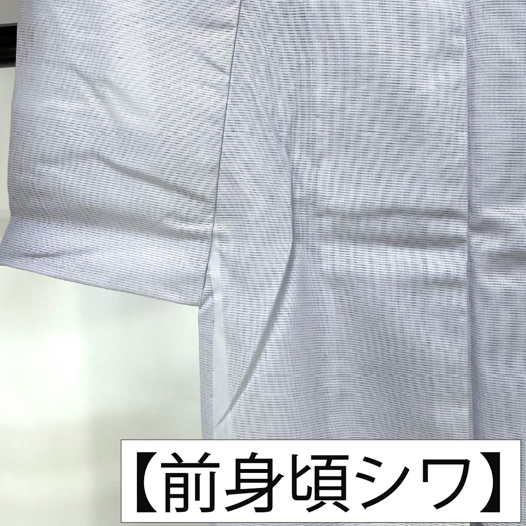 夏物 ポリエステル 付下げ Aランク 身丈165.5cm 裄丈65.5cm 雪色(せっしょく) 洗える着物 唐子模様 絽 グレー系 1132006293522