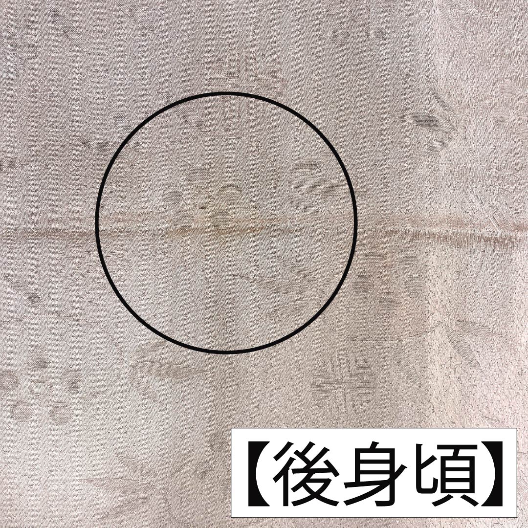 色無地 正絹 Aランク 身丈150cm 裄丈62cm 水柿色(みずがきいろ) 唐草 単衣 茶系 1114002733114