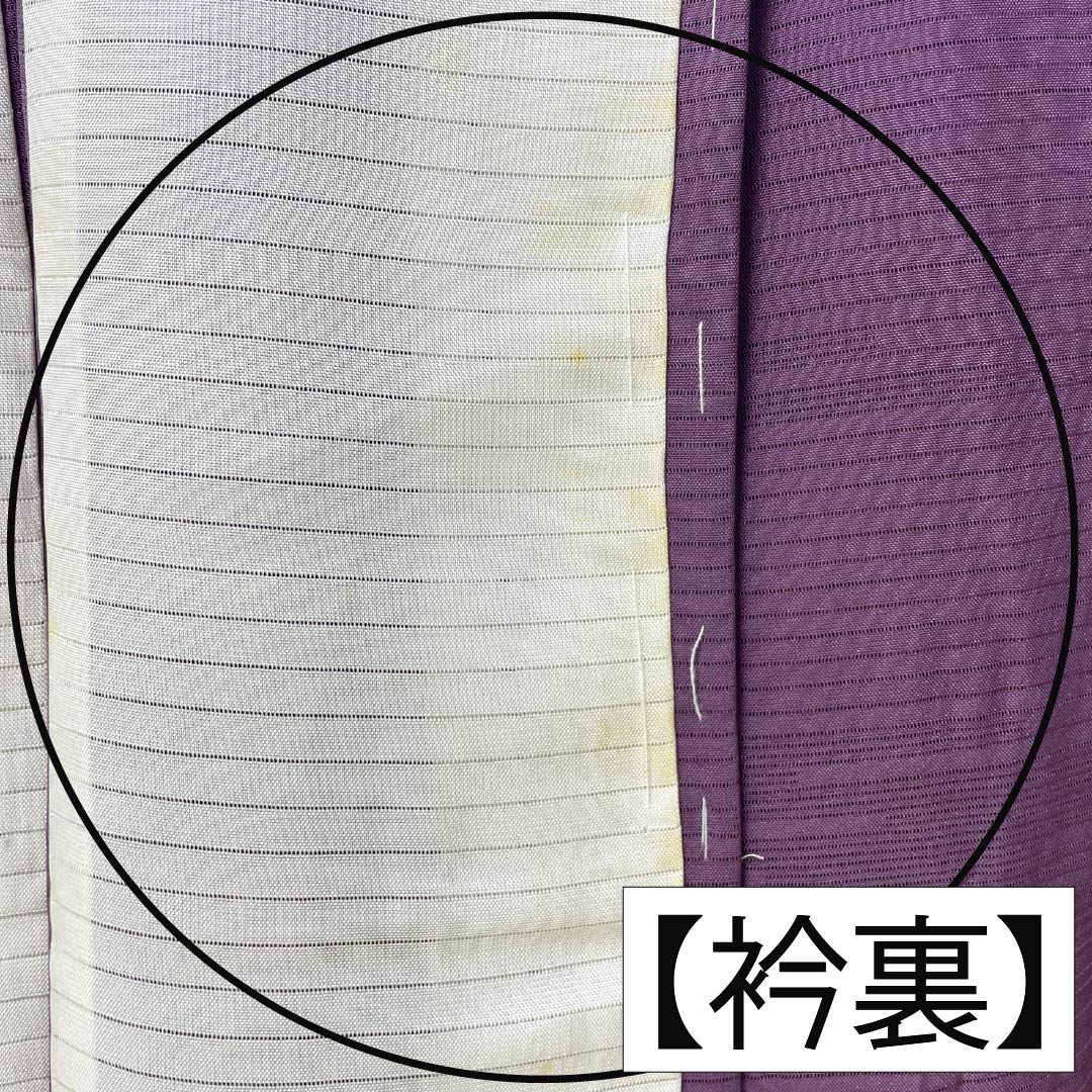 夏物 正絹 色無地 Aランク 身丈158.5cm 裄丈65cm 半色(はしたいろ) 丸に剣片喰 一つ紋 霞模様 絽 紫系 1132003853320