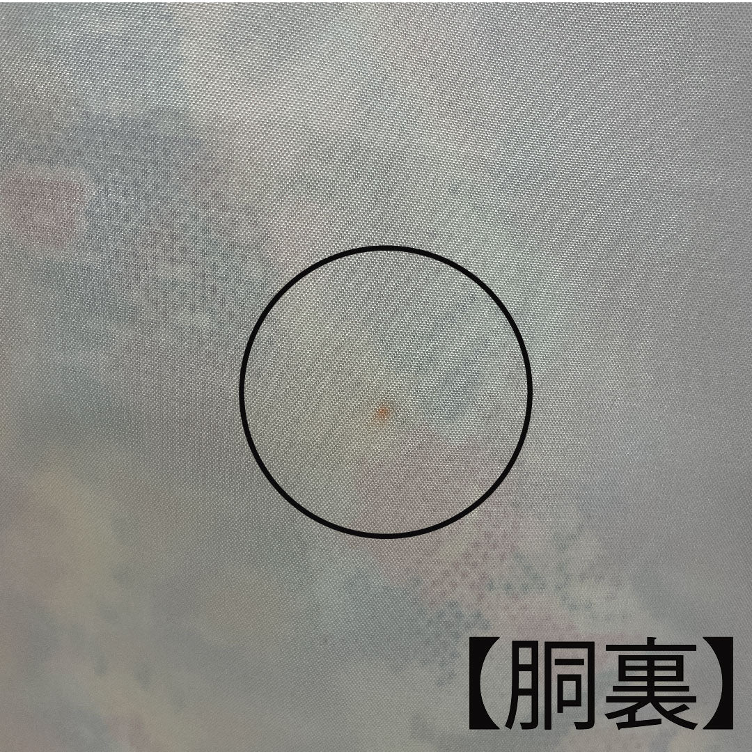 大島紬 身丈162.5cm 裄丈63.5cm 草花模様 正絹 Bランク 袷 白系 1116001514411