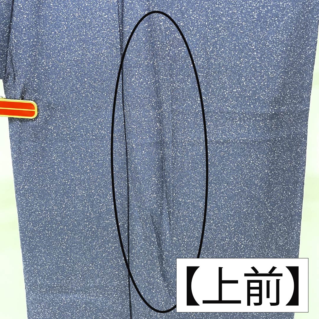 小紋 正絹 Sランク 身丈150.5cm 裄丈65cm 単衣 紺色(こんいろ) 一つ紋 蔦 タタキ染 紺系 1115007002118