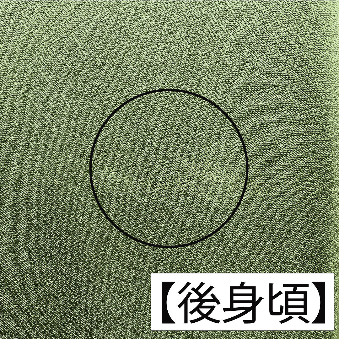 訪問着 正絹 袷 身丈162.5cm 裄丈65cm 裏葉色(うらはいろ) 風景模様 Aランク 緑系 1112005853419