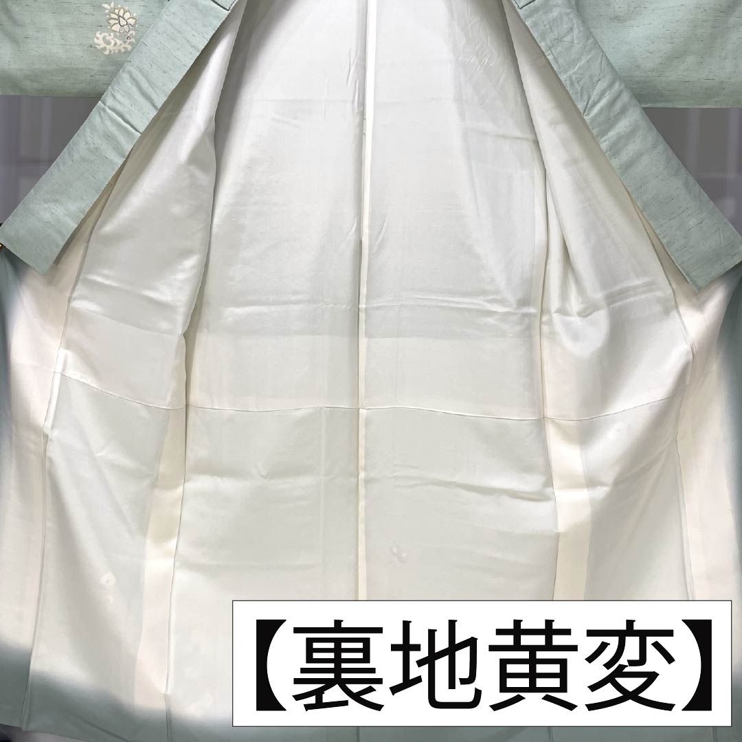 訪問着 正絹 Aランク 袷 身丈155cm 裄丈61cm 薄緑色(うすみどりいろ) 牛首紬 一つ紋 中陰蔦 草花 緑系 1112007533319