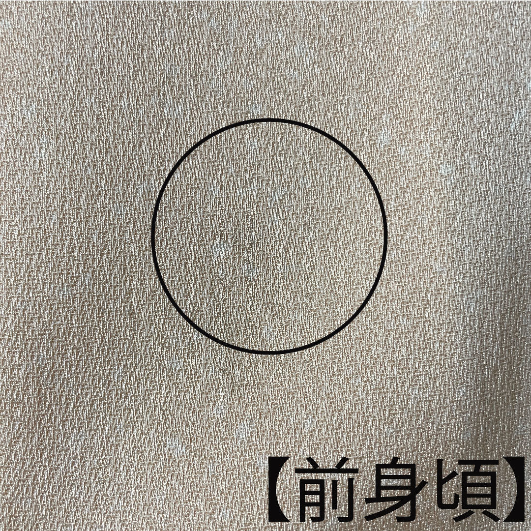 Homongi, pure silk, lined, length 164.5cm, sleeve length 66.5cm, light color, Kyo-Yuzen, floral pattern, Tango crepe, S rank, orange, 1112003502426