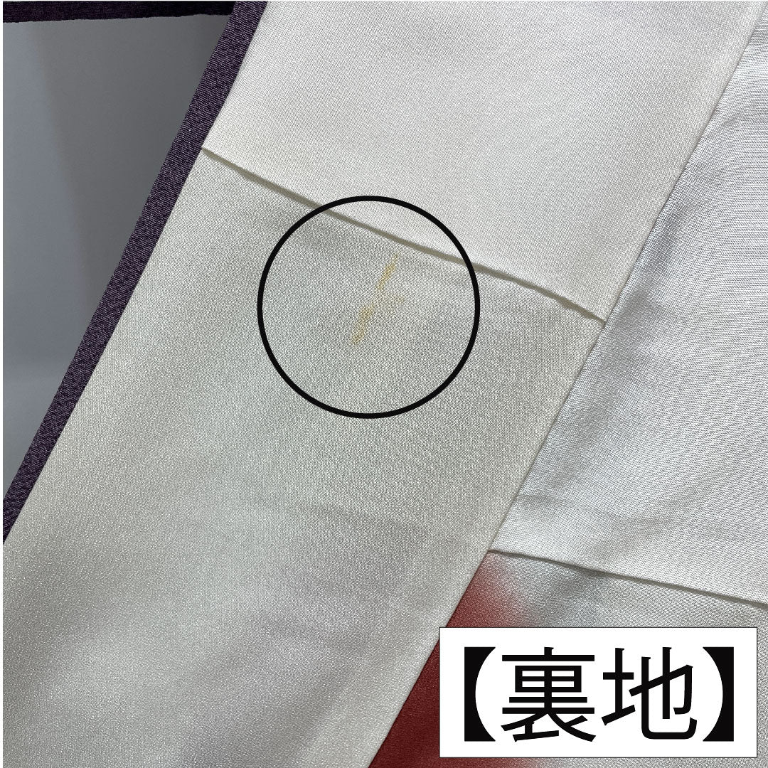 訪問着 正絹 袷 身丈154.5cm 裄丈67cm 滅紫色(けしむらさきいろ) 辻ヶ花 Aランク 紫系 1112004753220