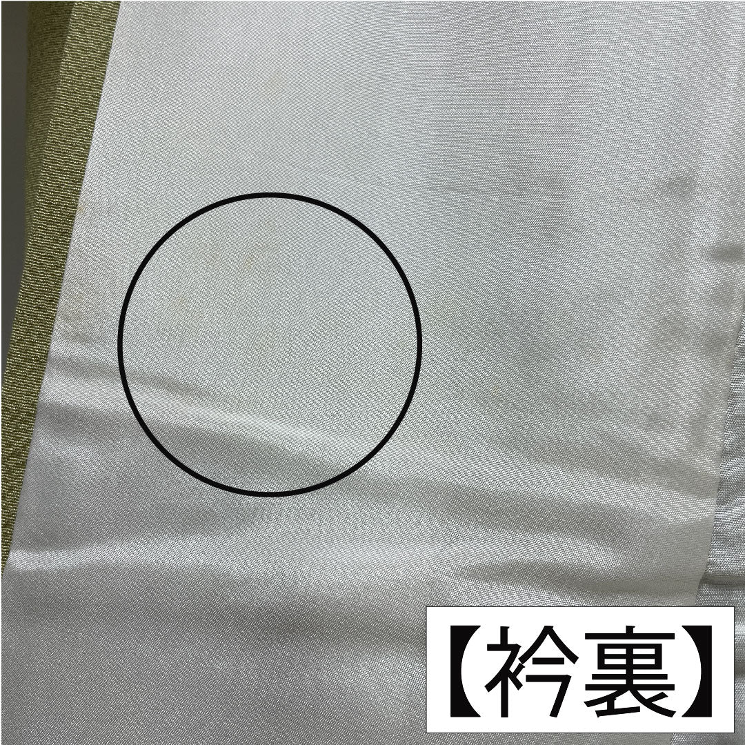 訪問着 正絹 袷 身丈162cm 裄丈62.5cm 薄柳色(うすやなぎいろ) 辻ヶ花 ちりめん地 重ね衿付き しつけ糸付き Sランク 緑系 1112005202419