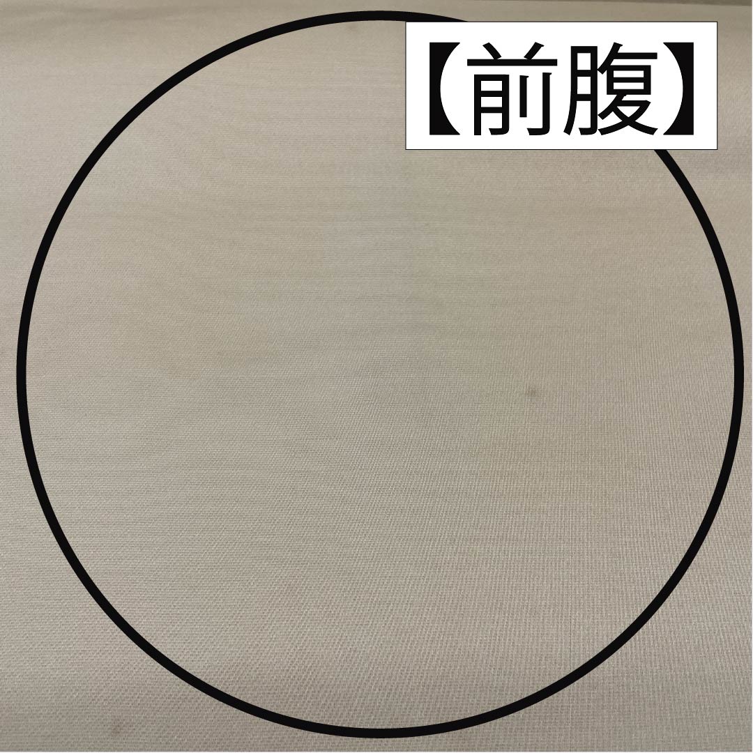 袋帯 正絹 留袖用 引箔 華文 帯丈432cm Bランク ポイント柄 フォーマル 銀系 1123014304322