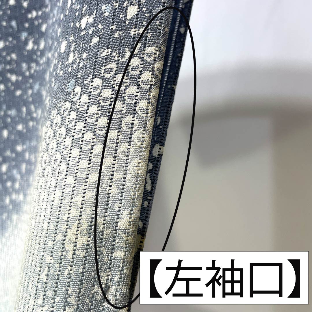 夏物 正絹 訪問着 Aランク 身丈161.5cm 裄丈66cm 浅葱鼠色(あさぎねずいろ) 竪絽 江戸小紋 タタキ染 絽 青系 1132005043417