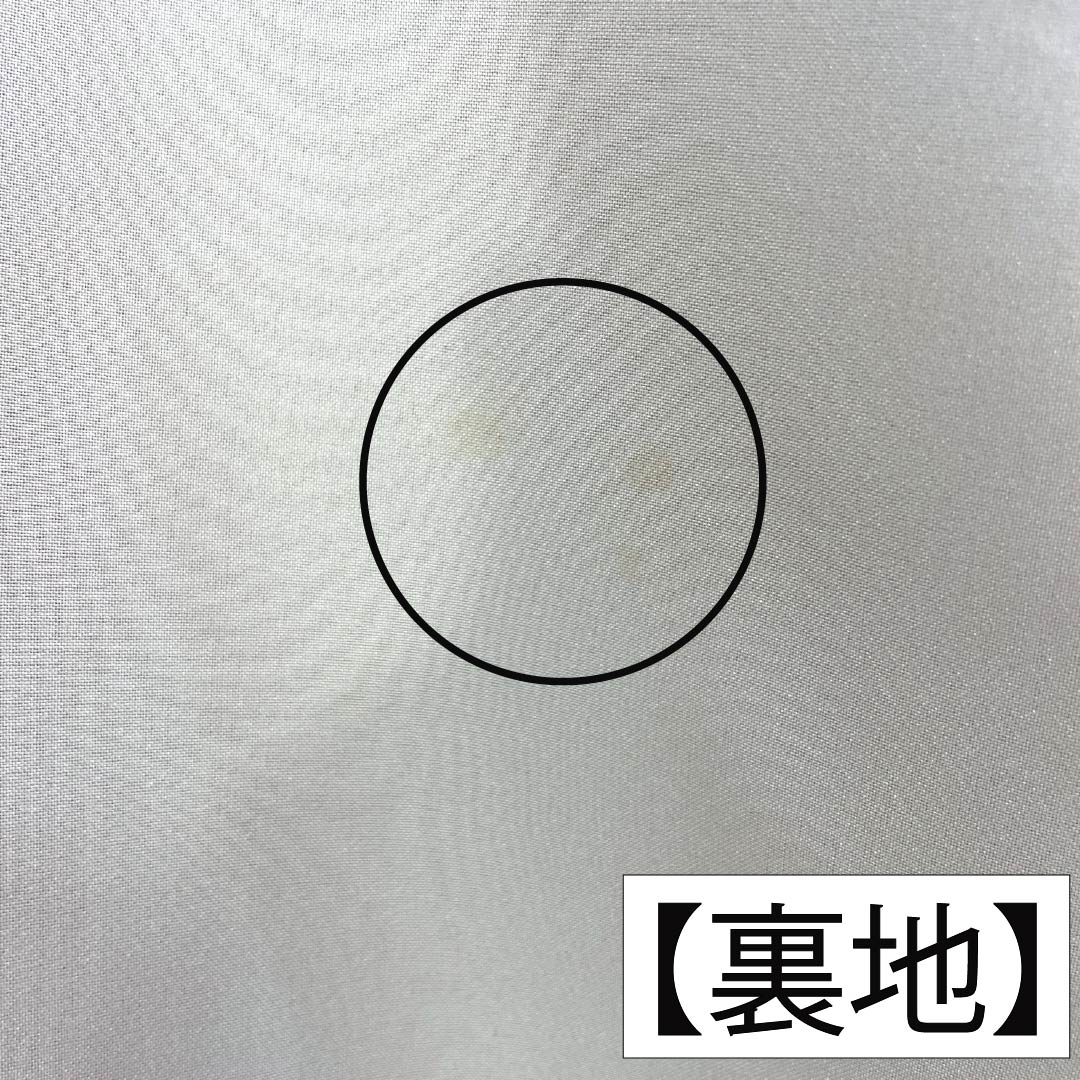 振袖 正絹 Sランク 身丈169.5cm 裄丈65cm 袷 榴花紅色(リューホワホンいろ) 京友禅 草木友禅 鶴 流水 綸子生地 橙系 1113002562526